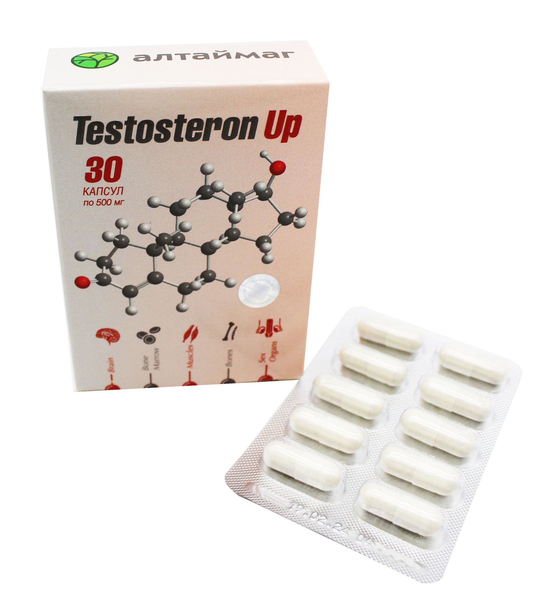 
Testosteron Up АлтайМаг 30 капсул в Саратове
