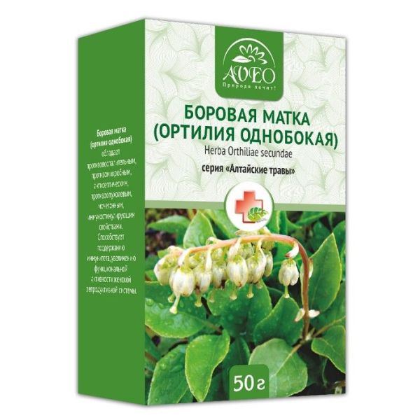 Изображение товара Боровая матка (ортилия однобокая) 50г Боровая матка (ортилия однобокая) 50г фотография