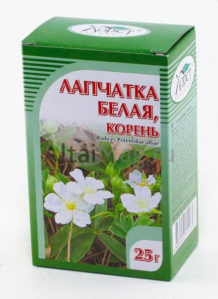 Изображение товара Лапчатка белая (корень) Хорст, 25г Лапчатка белая (корень) Хорст, 25г фотография